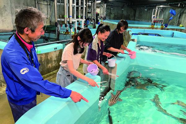 アクアワールド茨城県大洗水族館 サメスペシャルツアー（給餌体験付き） 