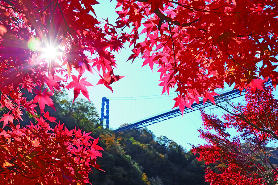 10_常陸太田市_竜神峡