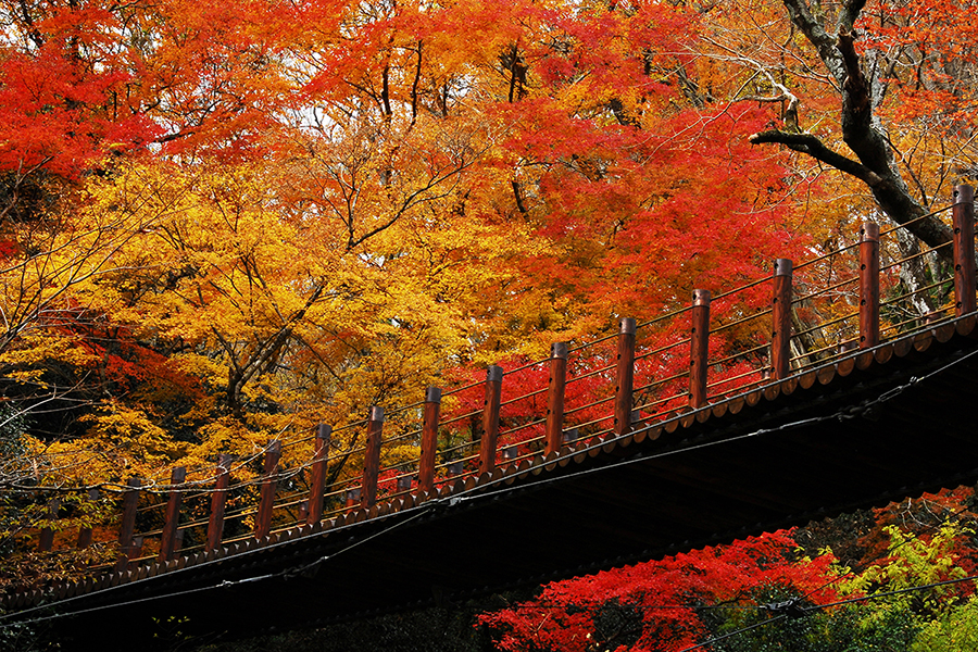 8_高萩市_花貫渓谷