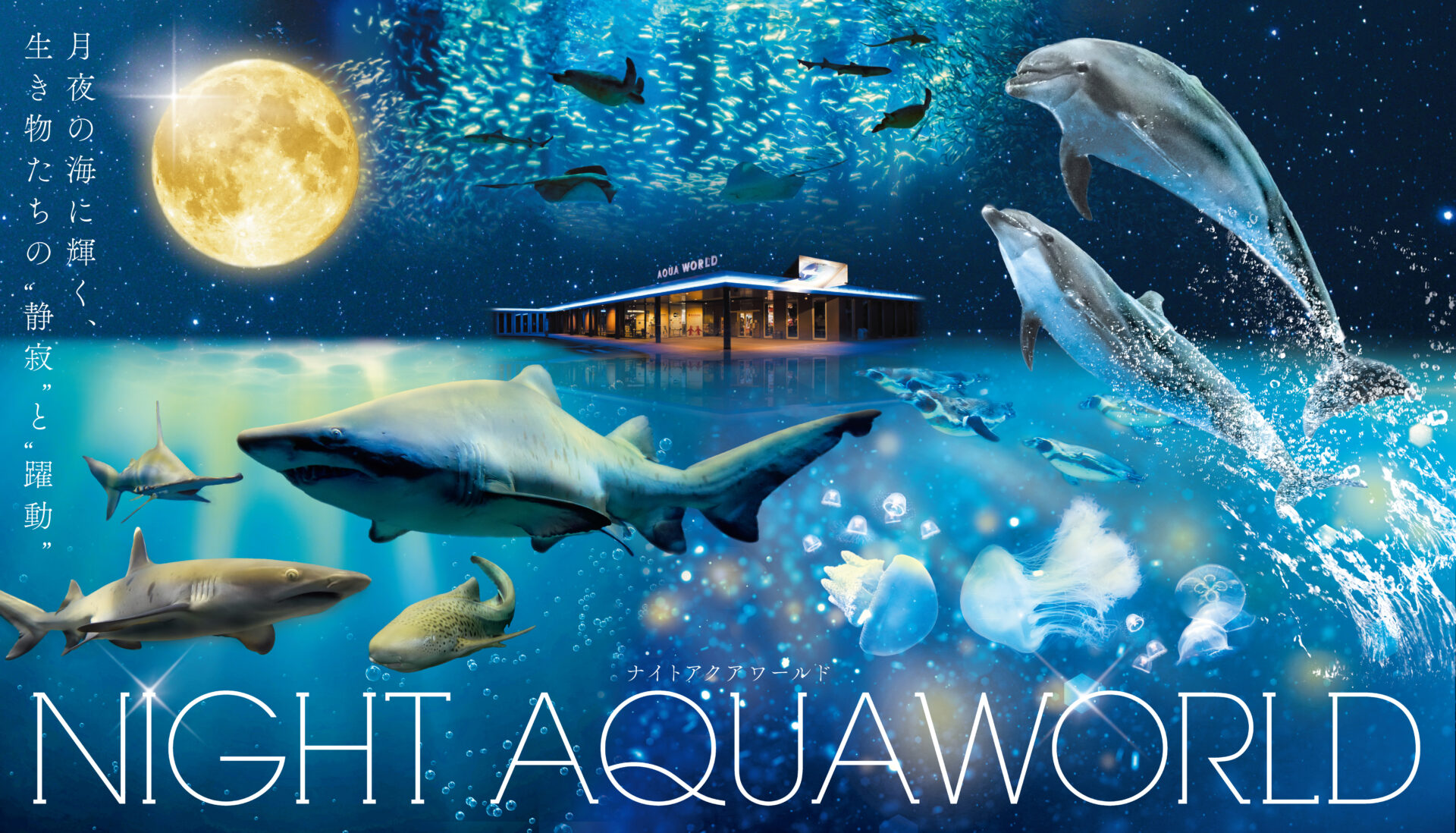 NIGHT AQUAWORLD リニューアル