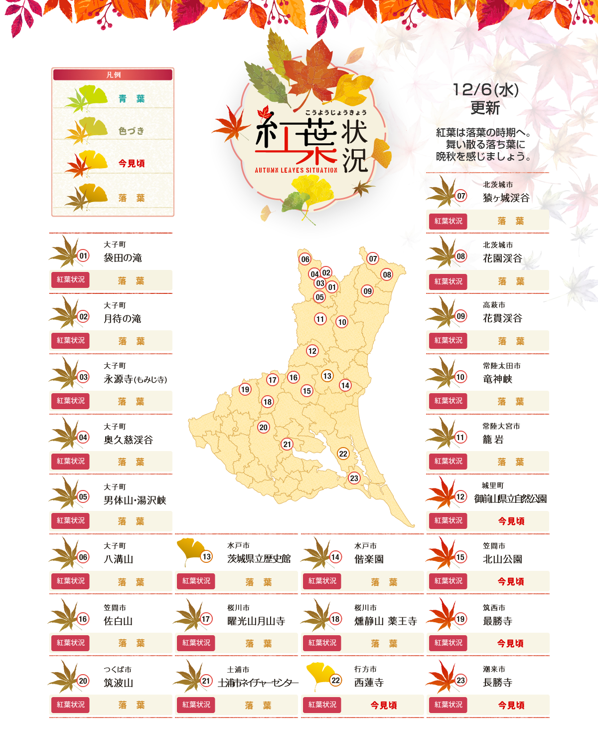 茨城紅葉マップ 12月6日 紅葉は落葉の時期へ。舞い散る落ち葉に晩秋を感じましょう