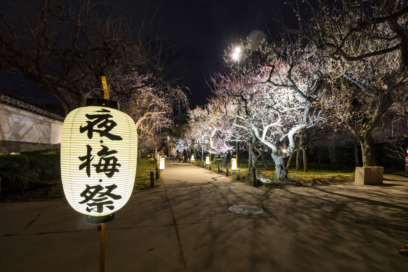 夜・梅・祭2024 ～第一夜 水戸城～