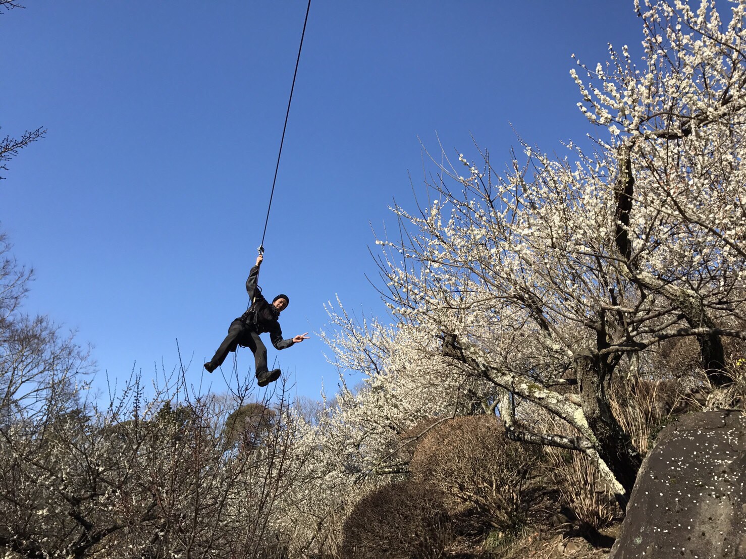 筑波山梅まつり_ロングジップ