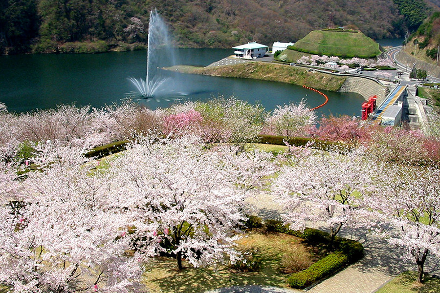 十王パノラマ公園（日立市）