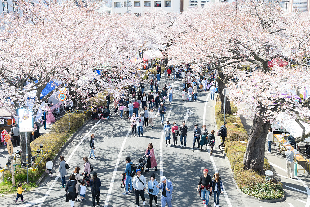 平和通り（日立市）