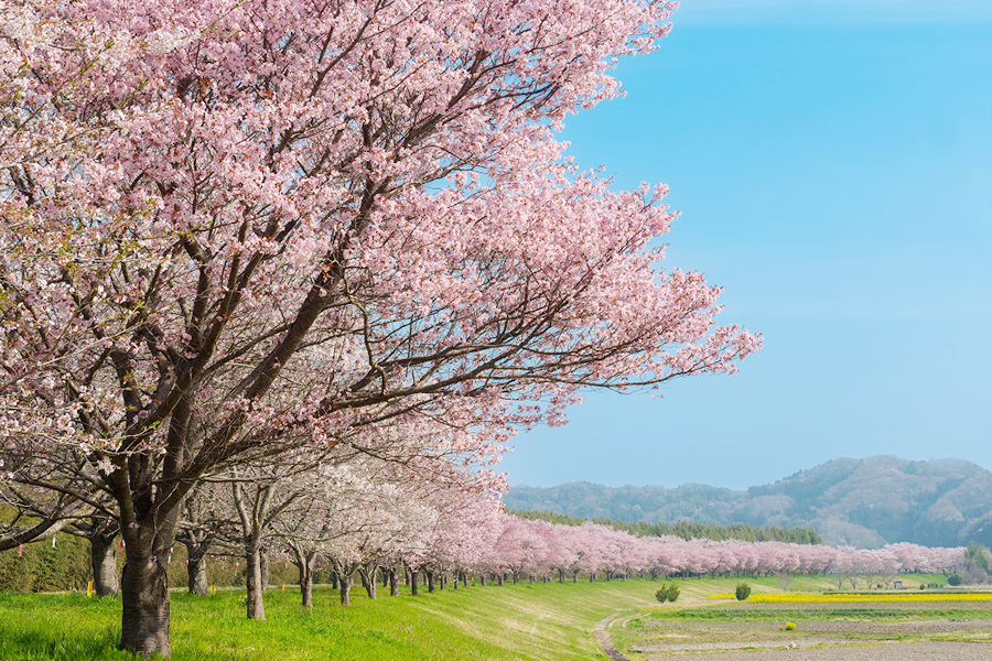 辰ノ口親水公園（常陸大宮市）