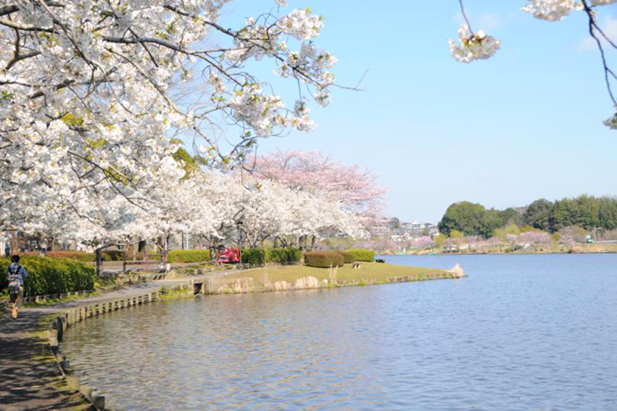 千波湖（水戸市）