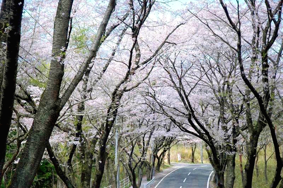 北山公園（笠間市）