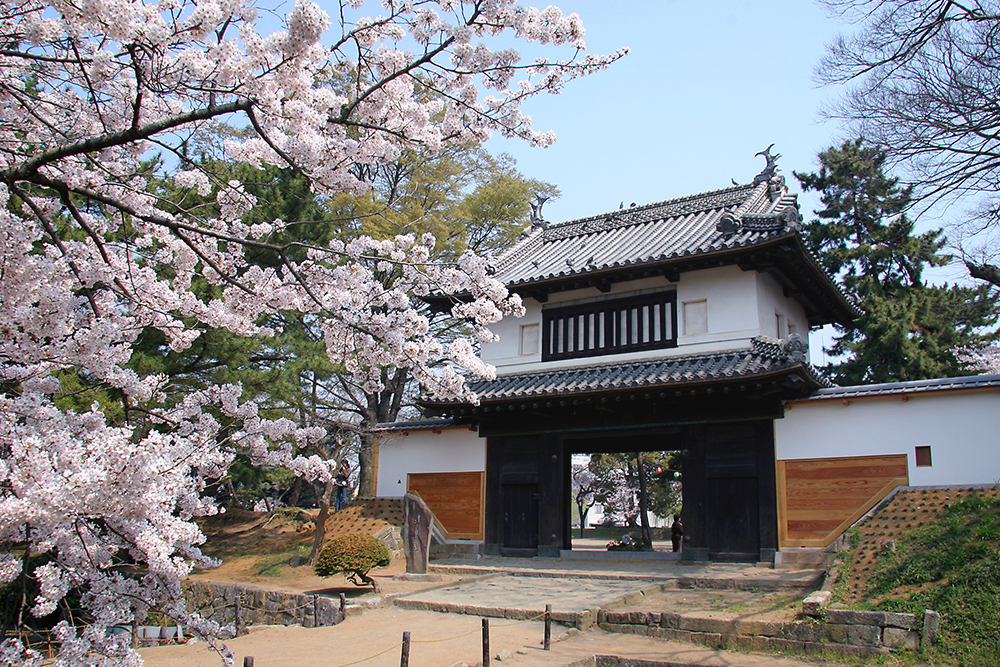 【さくら情報】亀城公園（土浦市）_2