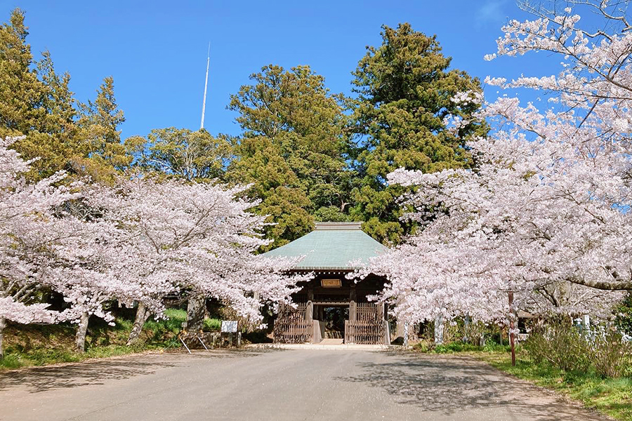 西蓮寺（行方市）