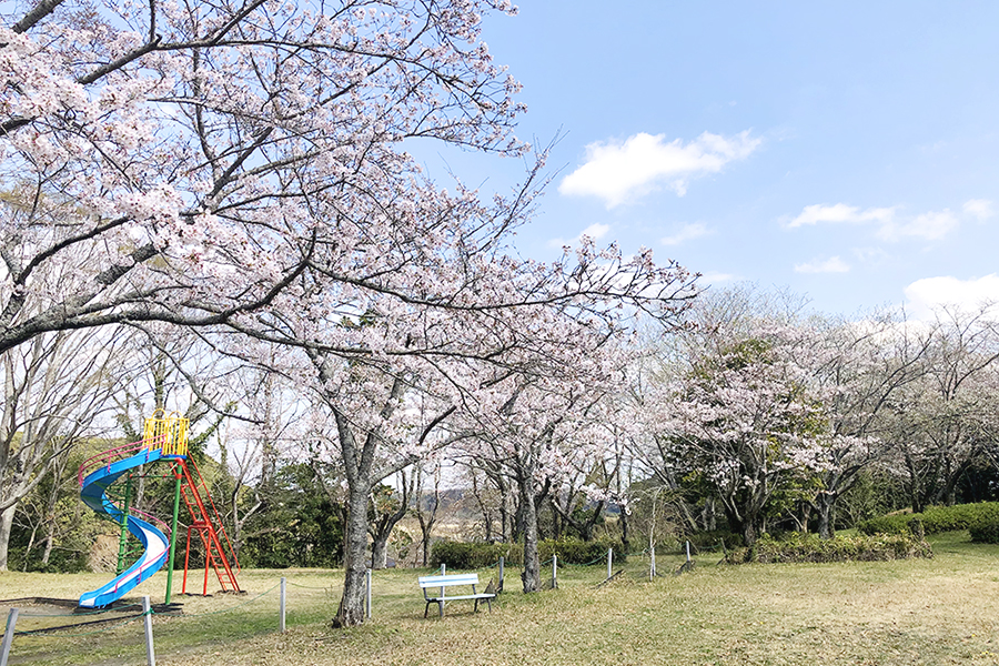 羽黒山公園（行方市）