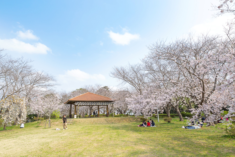 権現山公園（潮来市）