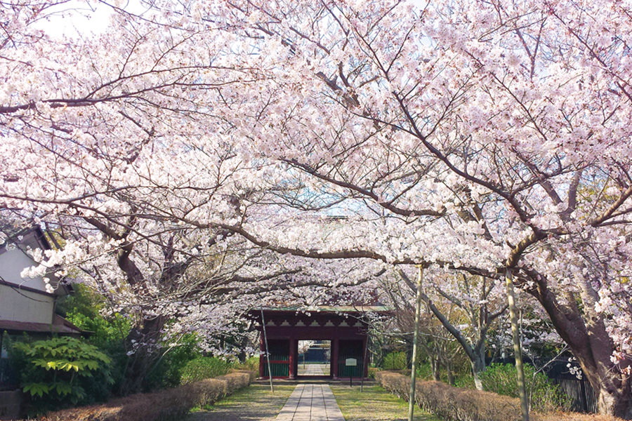 長勝寺（潮来市）