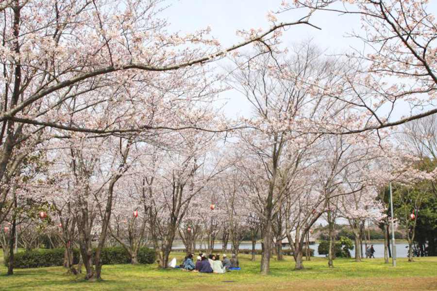 神之池緑地（潮来市）