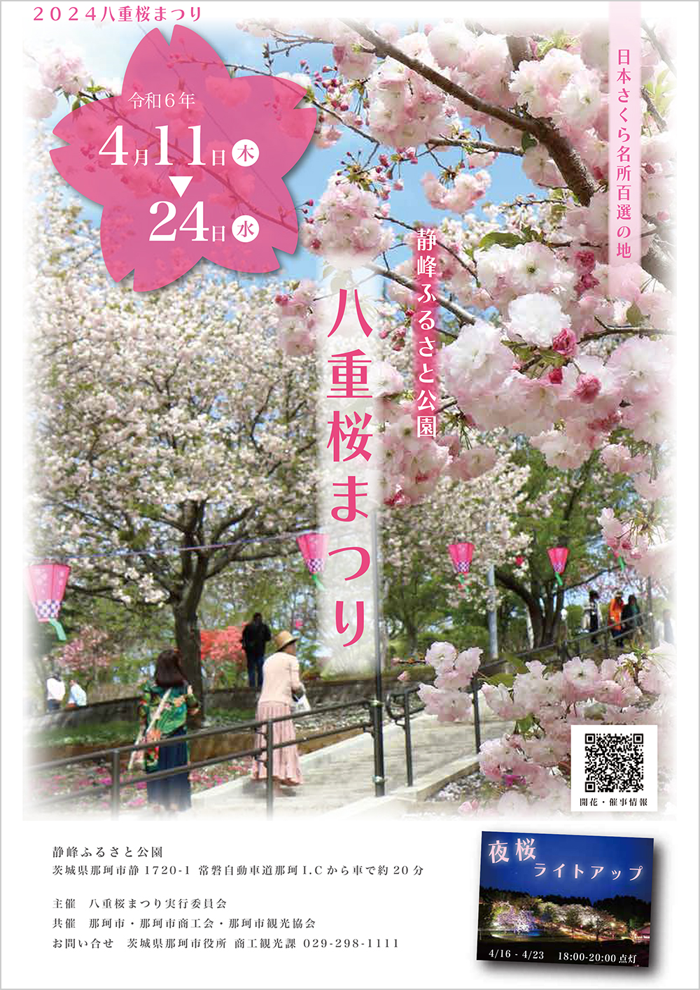 2024八重桜祭り_1