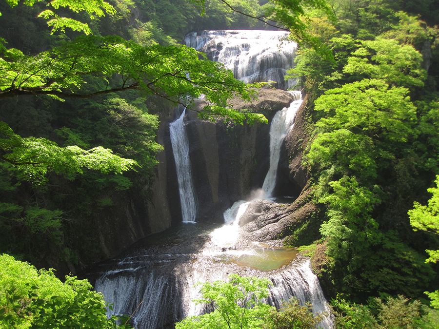 （観光スポット4）袋田の滝2（夏） 