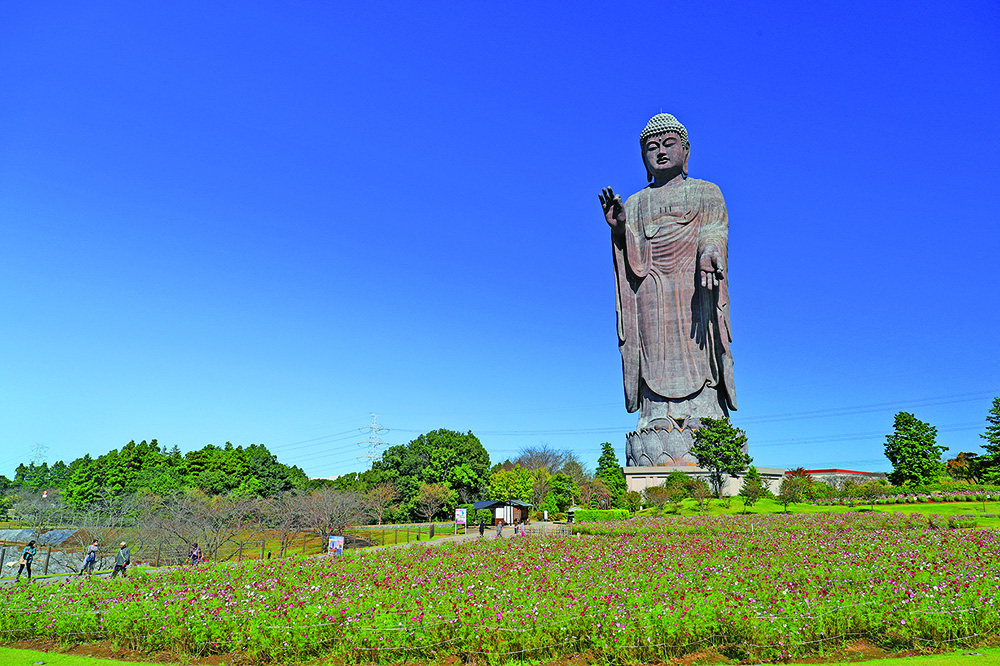 （観光スポット10）牛久大仏1