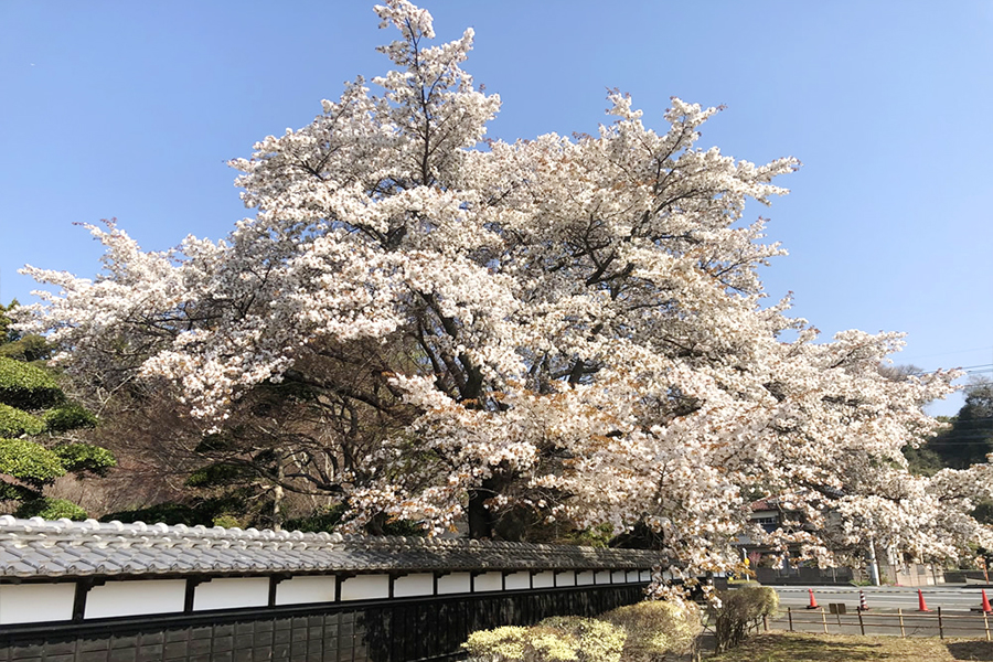 穂積家住宅（高萩市）