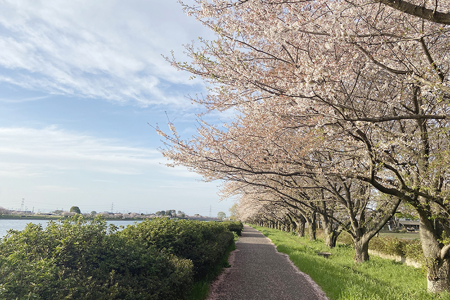 童夢公園周辺（五霞町）