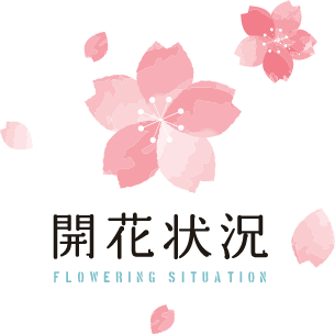 桜開花情報2024年