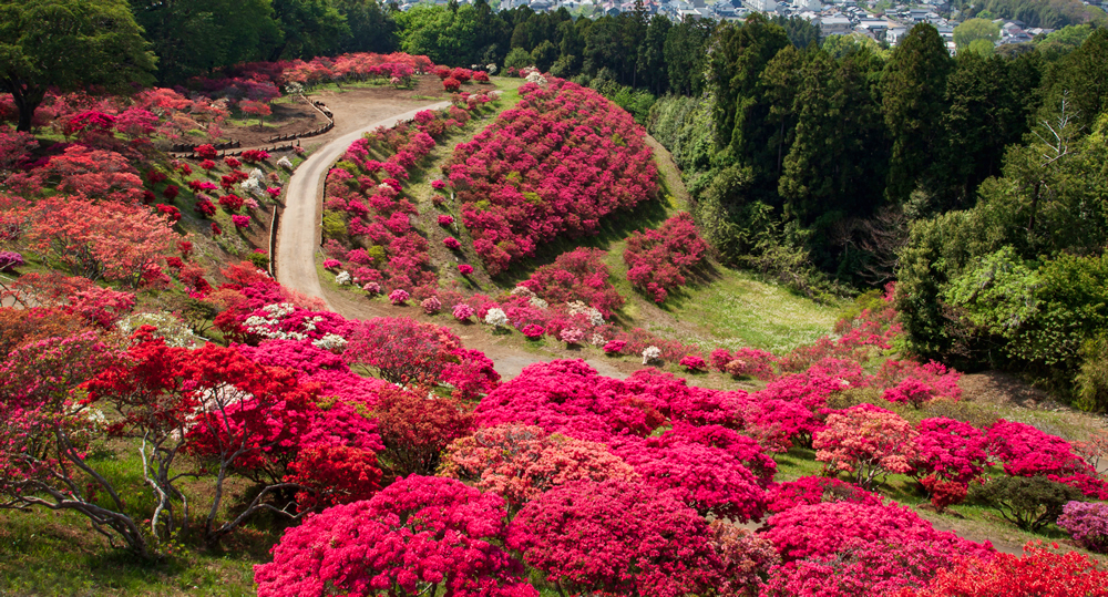 笠間つつじ公園