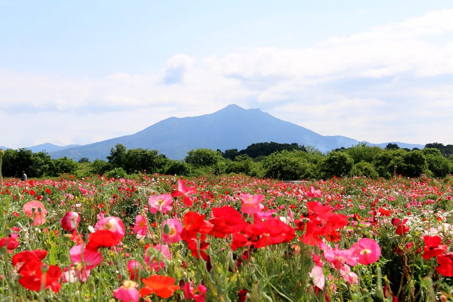 小貝川ふれあい公園