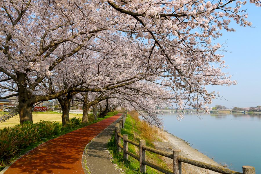 砂沼広域公園