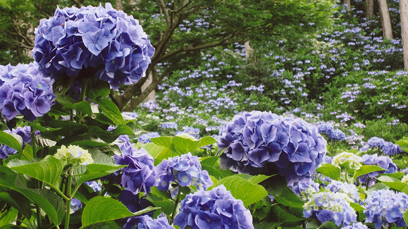 3_涸沼自然公園