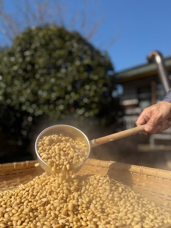 茨城町_SHIMOHAJI　納屋カフェ＆しもはじ埴輪キャンプ場_5