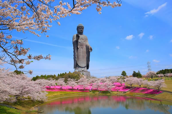 3_牛久大仏