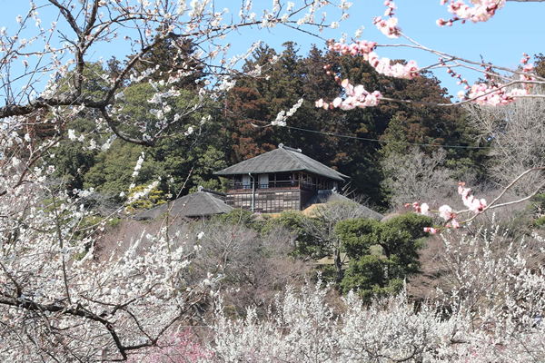 1_偕楽園