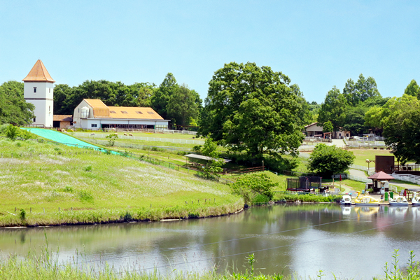 6_こもれび森のイバライド