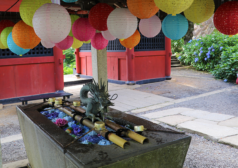 あじさい祭り_4
