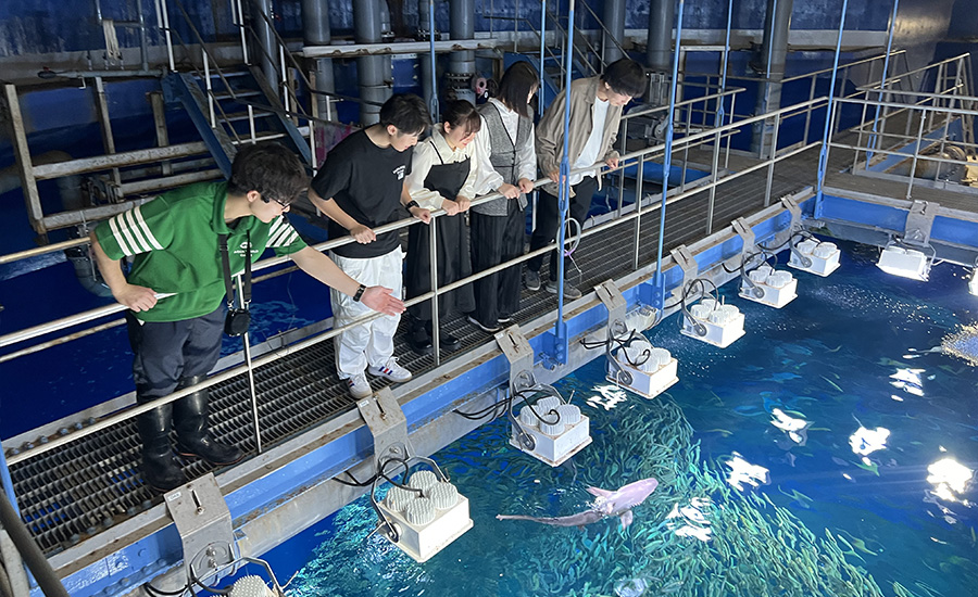大洗水族館_バックヤードツアー