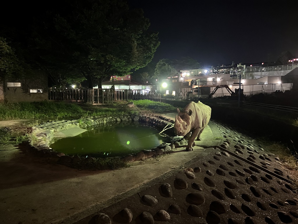 夜の動物園2025