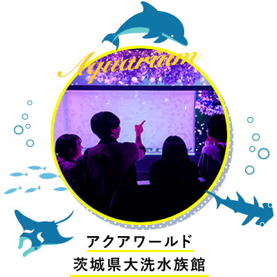 茨城の夏_アクアワールド茨城県大洗水族館