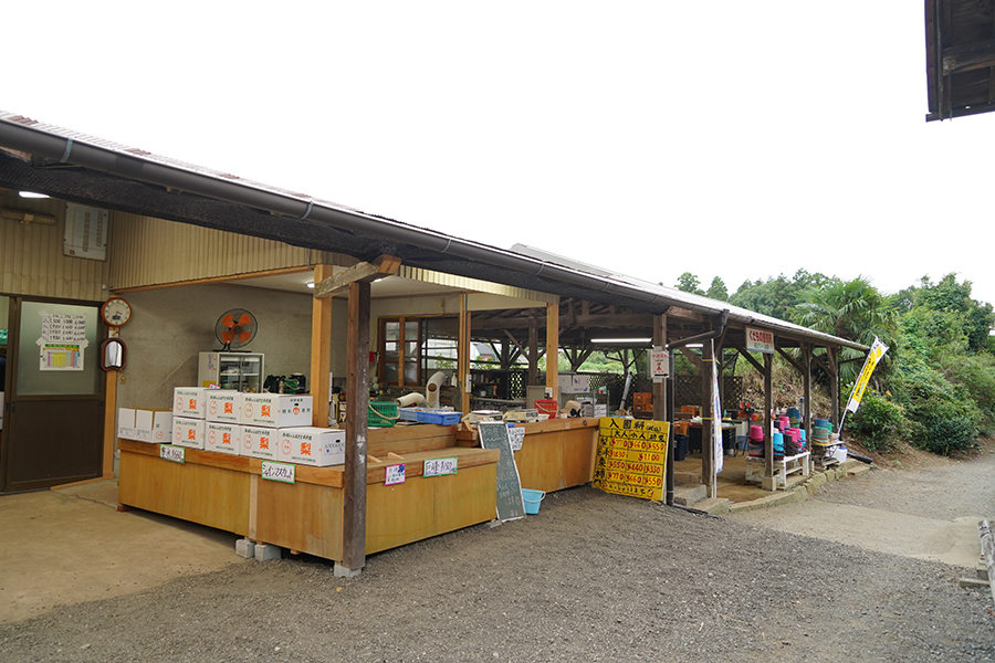 福田グリーン農園_外観_2