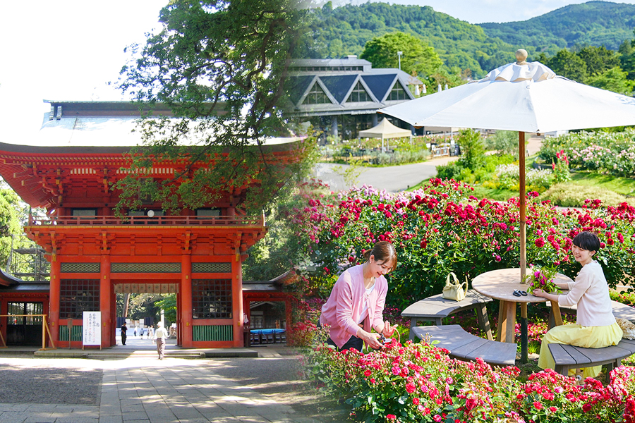 ゆっくり2泊3日で楽しむ茨城空港発着!レンタカーで周遊おすすめモデルコース