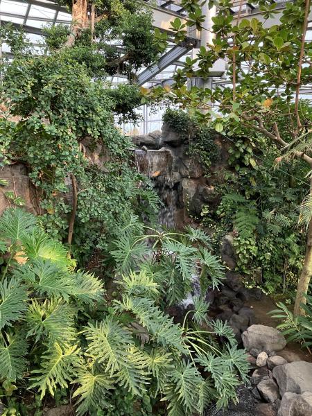 熱帯植物館2