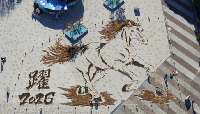 ひたち海浜公園_巨大干支アート_2026年午年