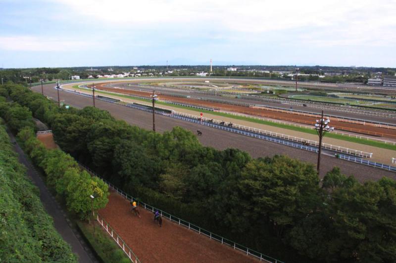 JRA美浦トレーニング・センター