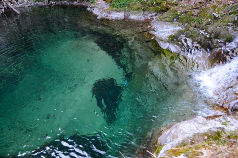 名馬里ヶ淵(高萩市)