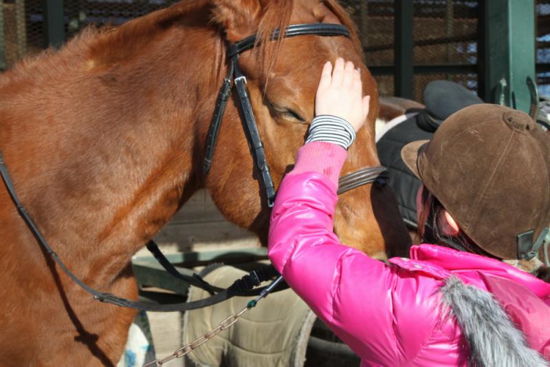 大和ホースパーク_1