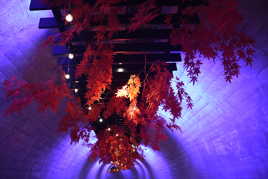 大子来人~ダイゴライト~_光のトンネル2