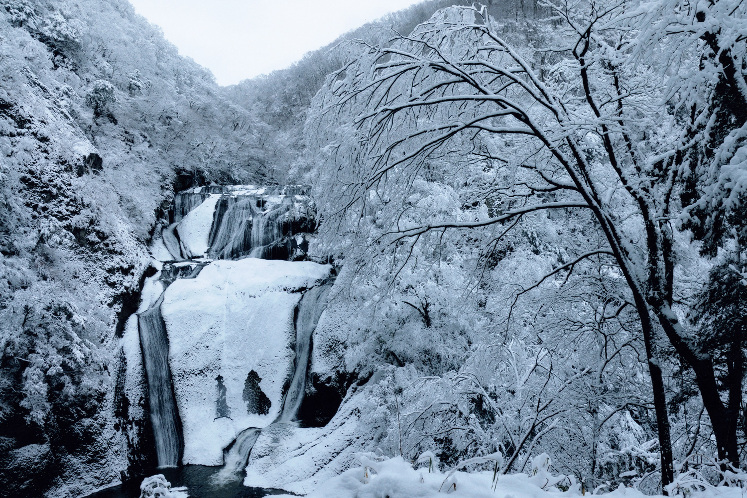袋田の滝_氷瀑_3
