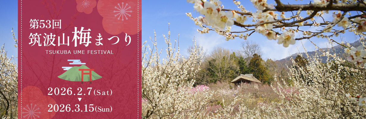 筑波山梅まつり_2026年