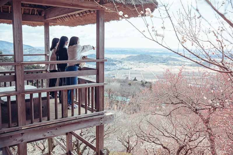 筑波山梅まつり【2026】_2