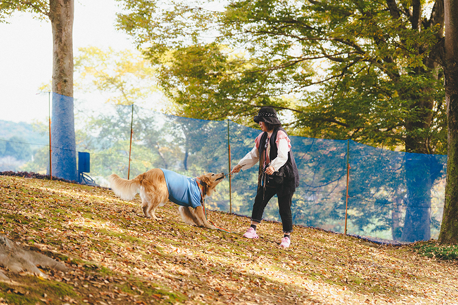 いばらきフラワーパーク_ペット_3