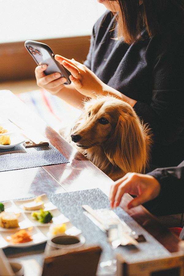 岡野ファーム_ペット_1