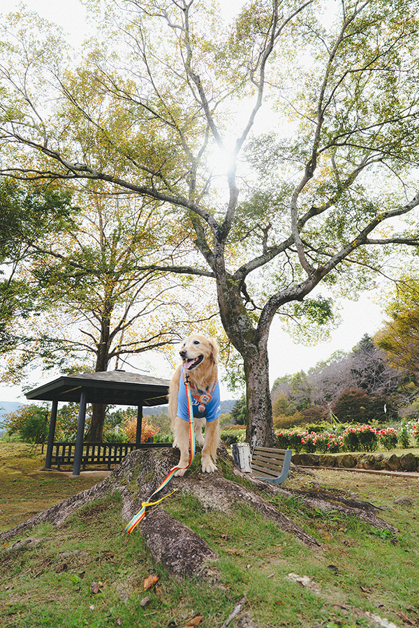 いばらきフラワーパーク_ペット_1_tate